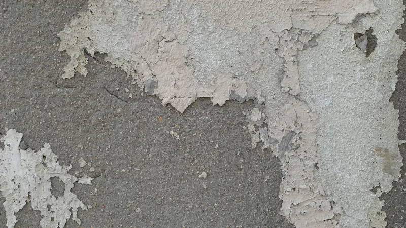 When Fresh Paint Is Actually a Red Flag: Reading the Hidden Language of Your Walls