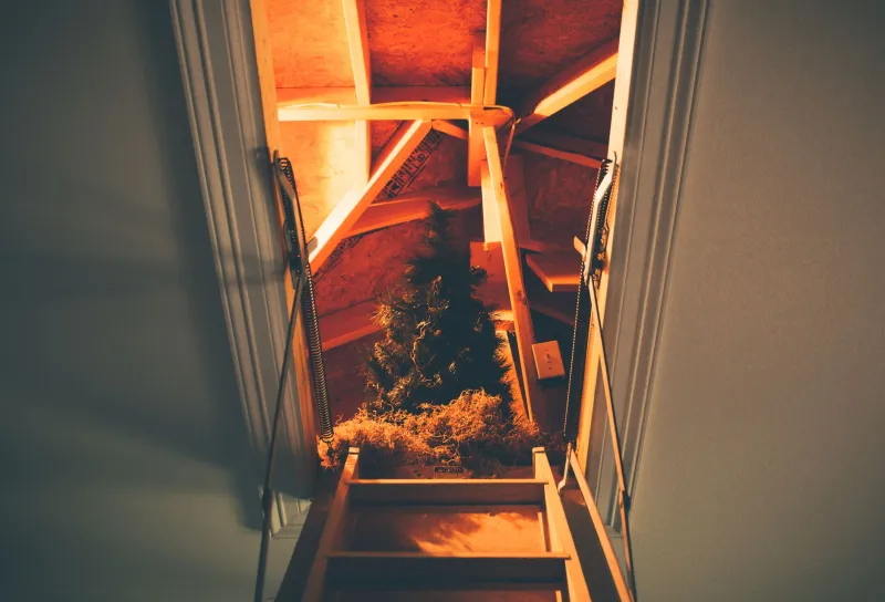 Your Home Is Bleeding Money Through the Walls — And Insulation Is Usually the Culprit